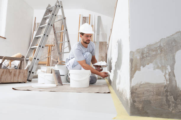 Mold Odor Removal Services in Mcminnville, TN